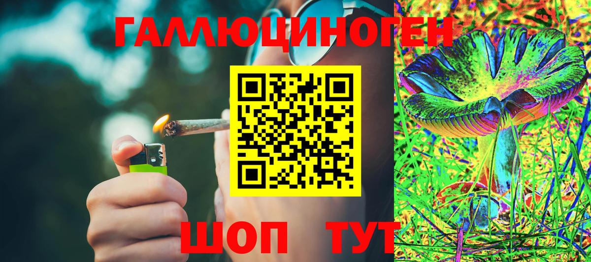 Галлюциногенные грибы мухоморы  Вход с VPN  Амурск 